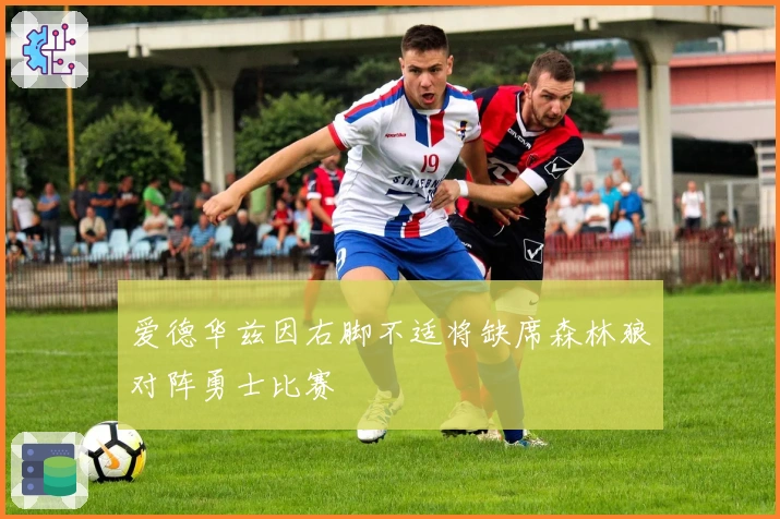 爱德华兹因右脚不适将缺席森林狼对阵勇士比赛